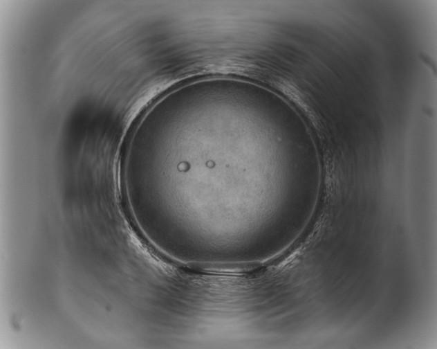 X0000101121032200806261431