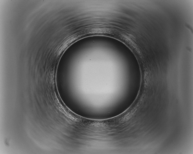 X0000101121033200806261431