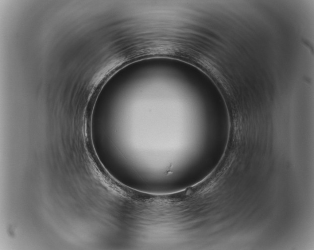 X0000101121034200806261431