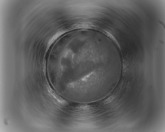 X0000101121035200806261431