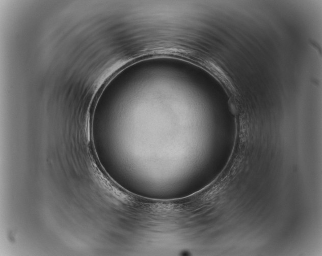 X0000101121036200806261431