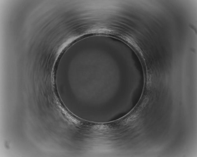 X0000101121037200806261431