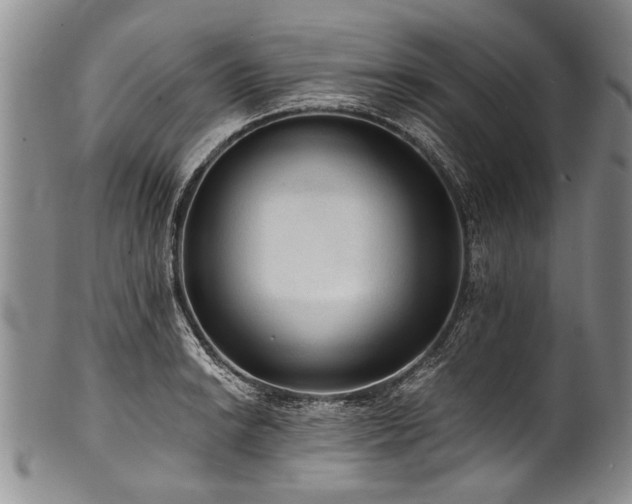 X0000101121038200806261431