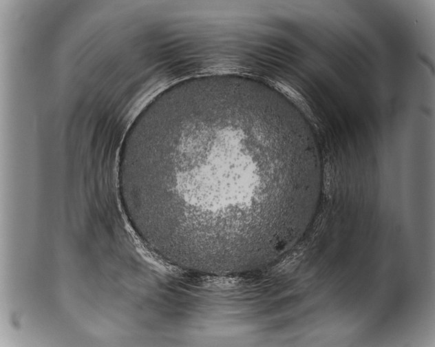 X0000101121039200806261431