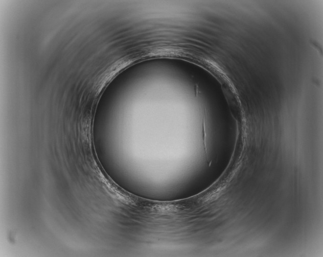 X0000101121041200806261431
