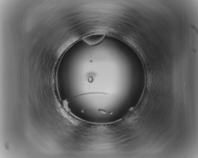 X0000101121042200806261431