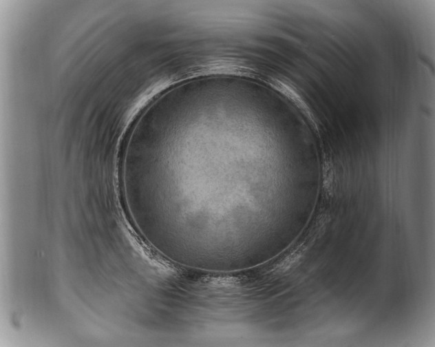 X0000101121043200806261431