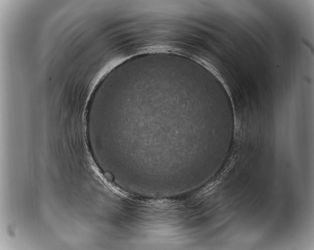 X0000101121045200806261431