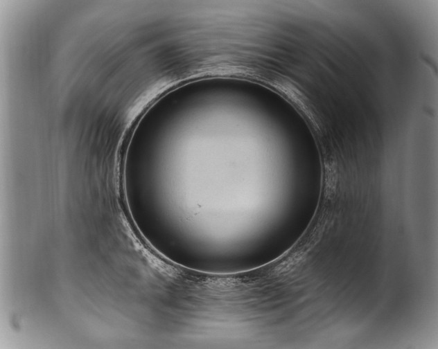 X0000101121046200806261431