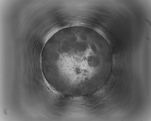 X0000101121047200806261431