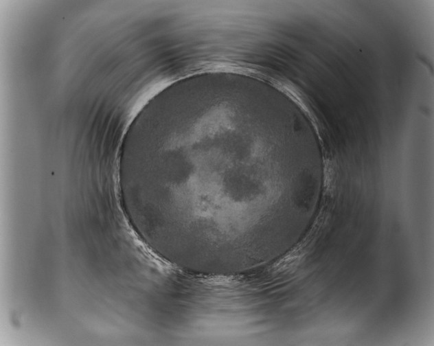 X0000101121048200806261431