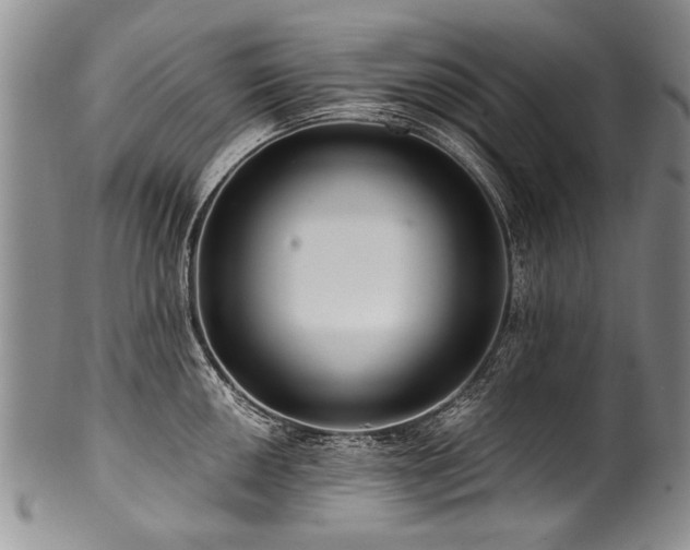 X0000101121050200806261432