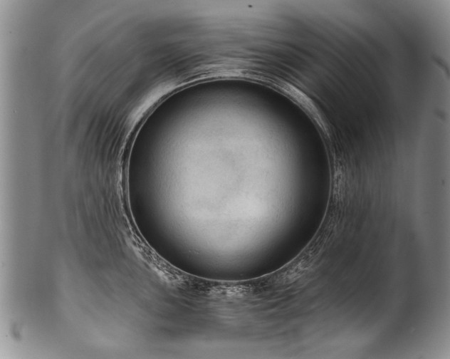 X0000101121051200806261432