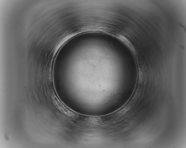 X0000101121052200806261432
