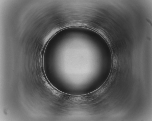 X0000101121054200806261432
