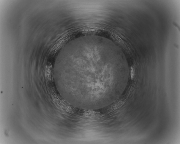 X0000101121059200806261431