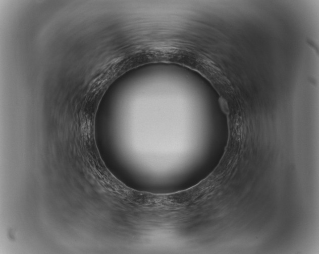 X0000101121061200806261431