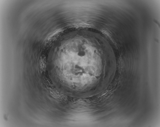 X0000101121063200806261431