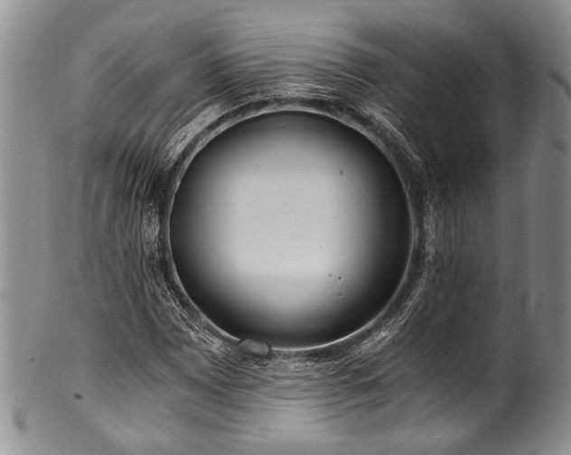 X0000101121065200806261431