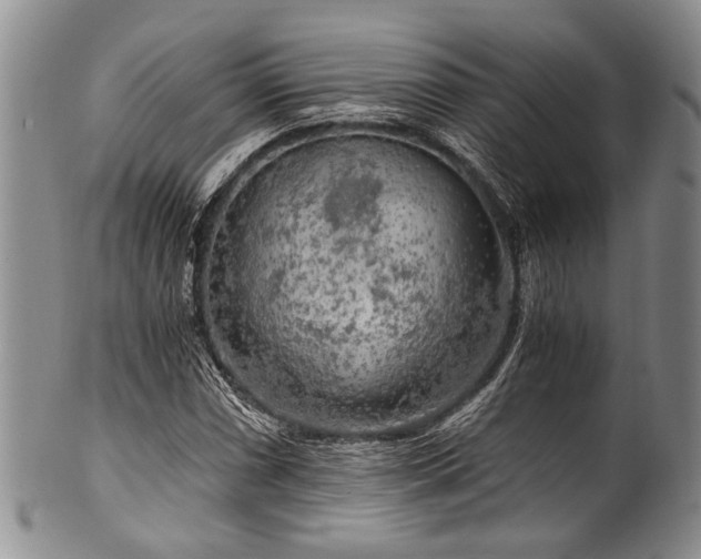 X0000101121066200806261431