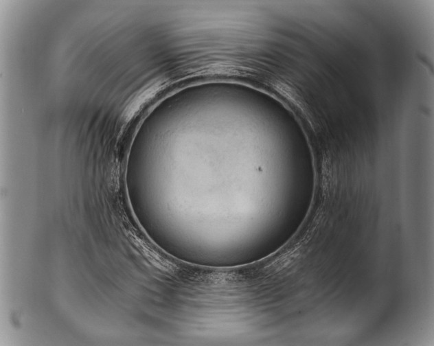 X0000101121067200806261431