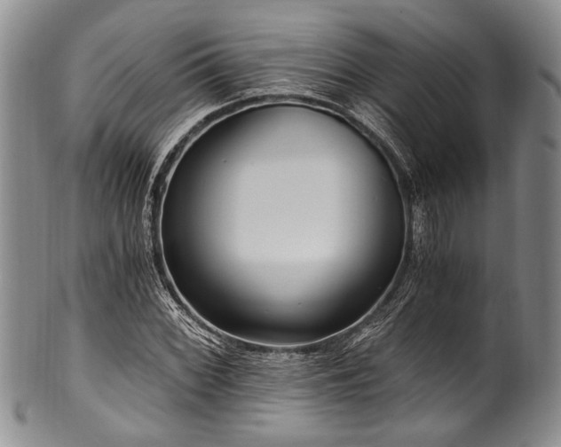 X0000101121068200806261431