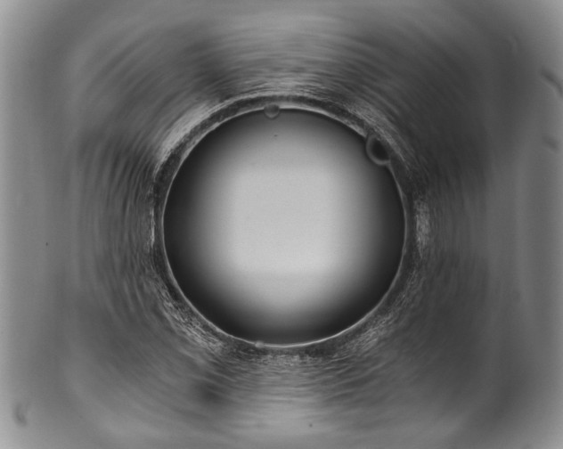 X0000101121069200806261431