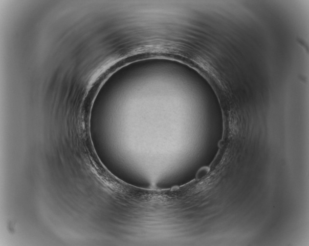 X0000101121070200806261431