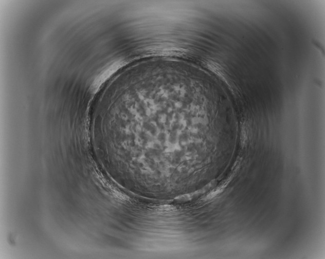 X0000101121071200806261431