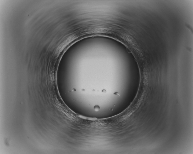 X0000101121073200806261430