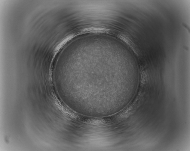 X0000101121074200806261430