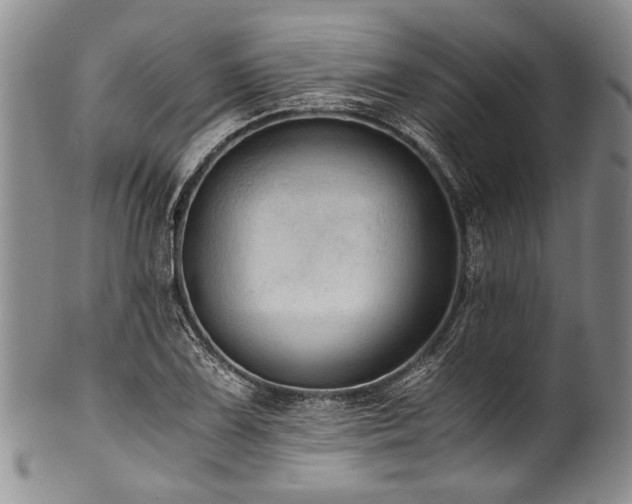 X0000101121075200806261430