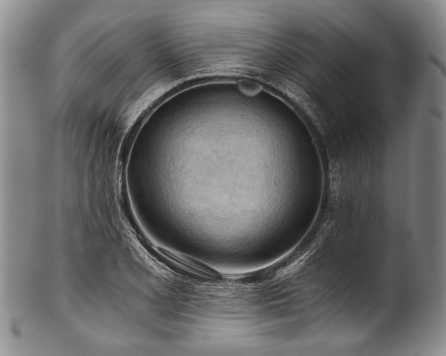 X0000101121077200806261430