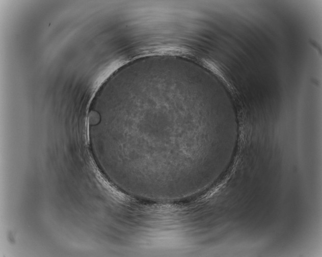 X0000101121079200806261430