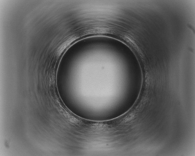 X0000101121081200806261430