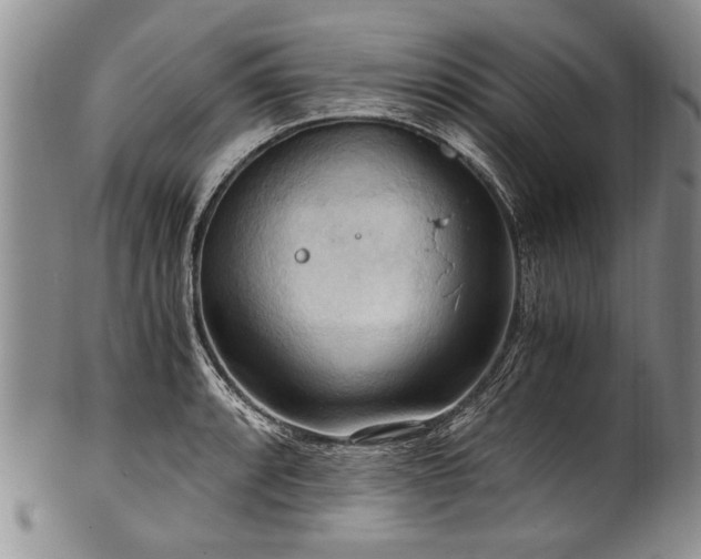 X0000101121088200806261430