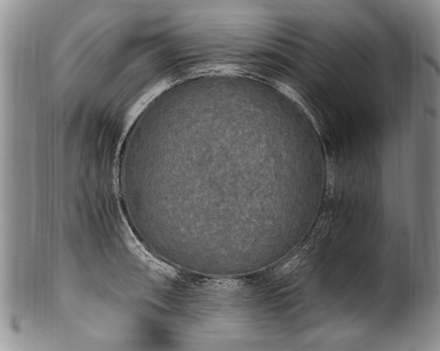 X0000101121090200806261430