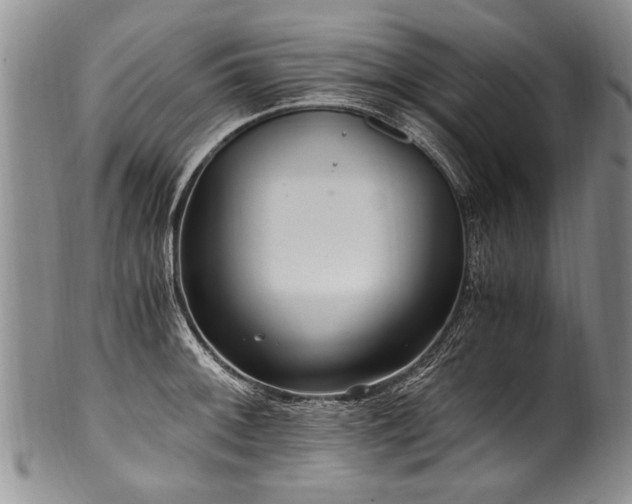 X0000101121092200806261430