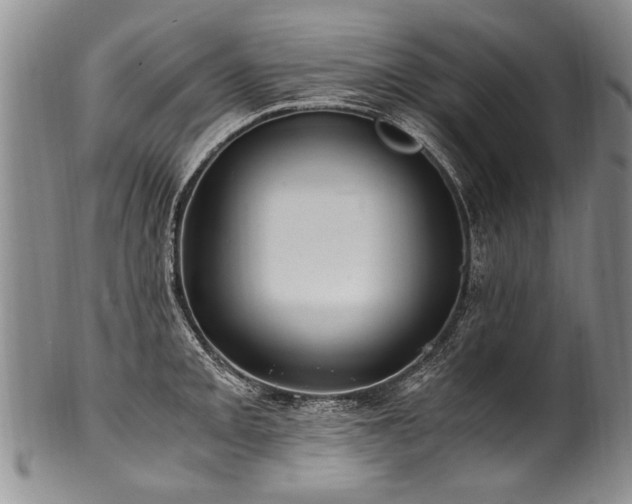 X0000101121093200806261430