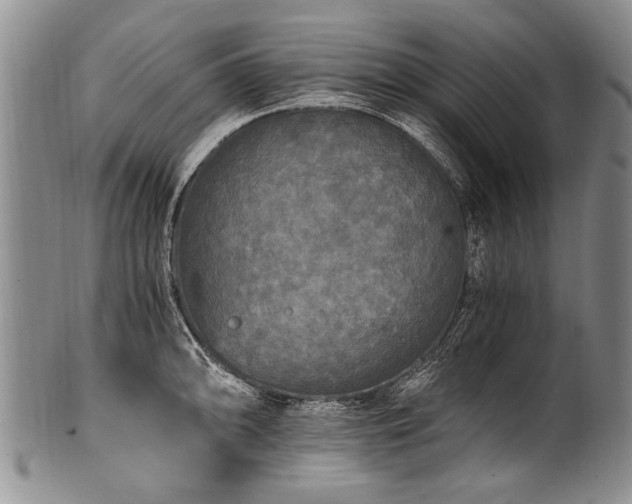 X0000101121094200806261430