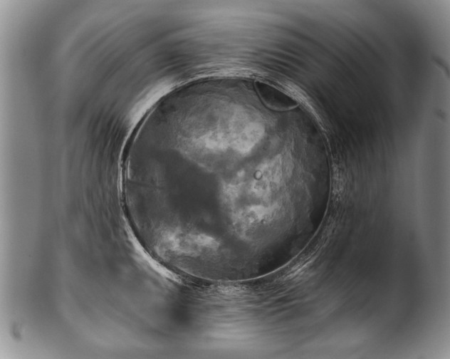 X0000101121095200806261430