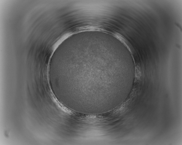 X0000101121098200806261430