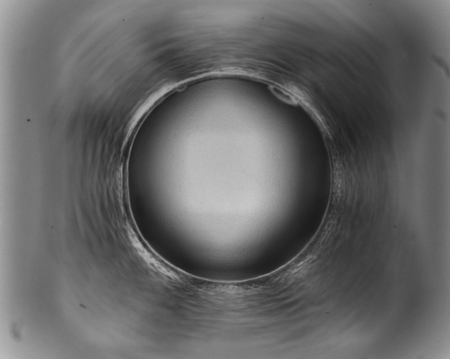 X0000101121100200806261430