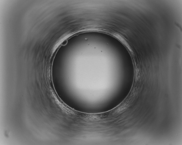 X0000101121101200806261430