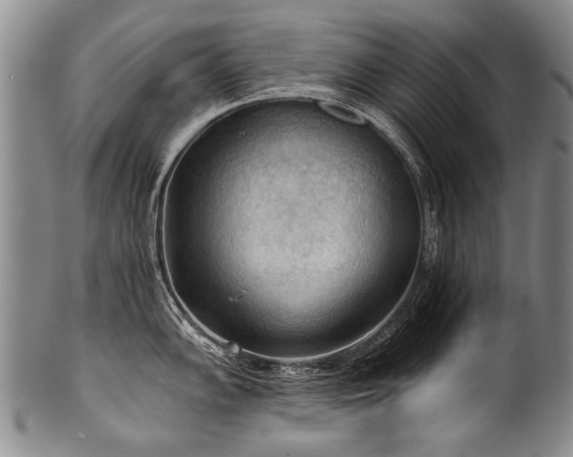 X0000101121102200806261430