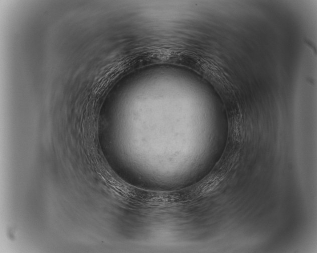 X0000101121105200806261429