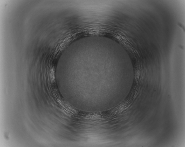 X0000101121106200806261429