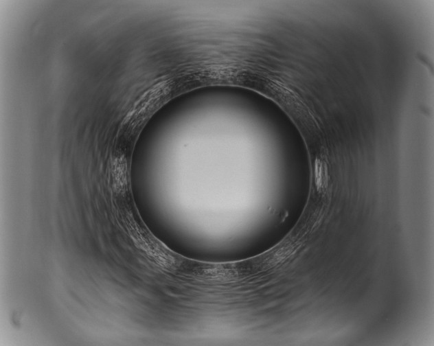 X0000101121107200806261429