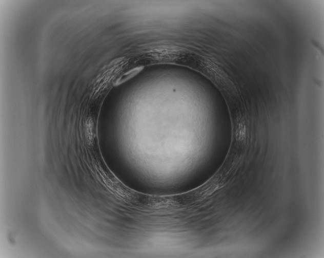 X0000101121108200806261429