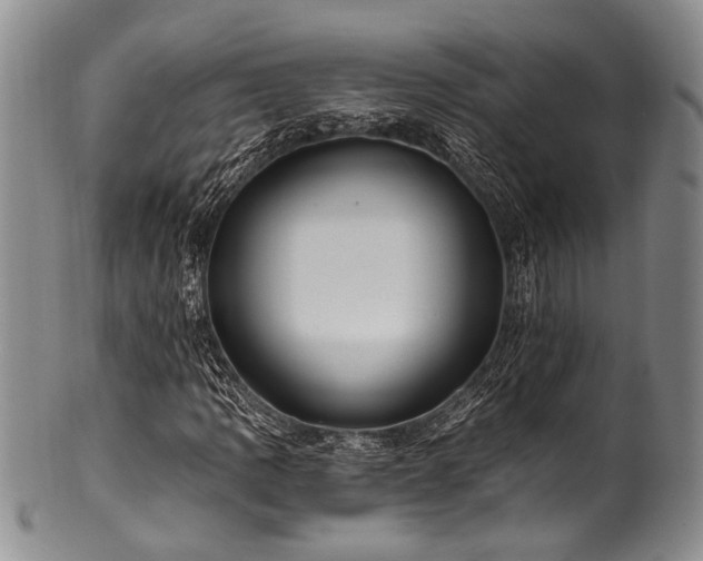 X0000101121109200806261429